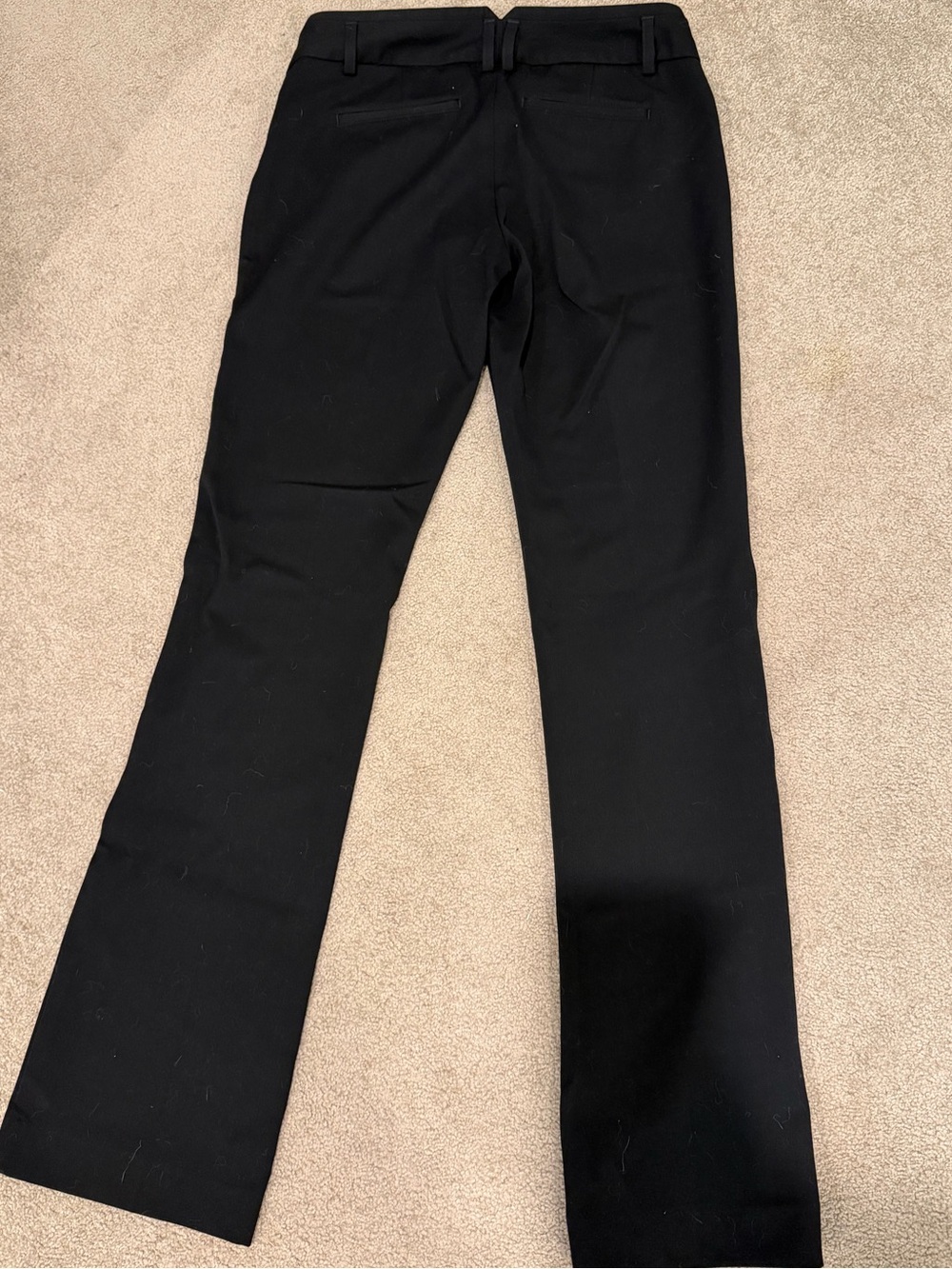 Express Columinst Pant - Picture 3 of 3